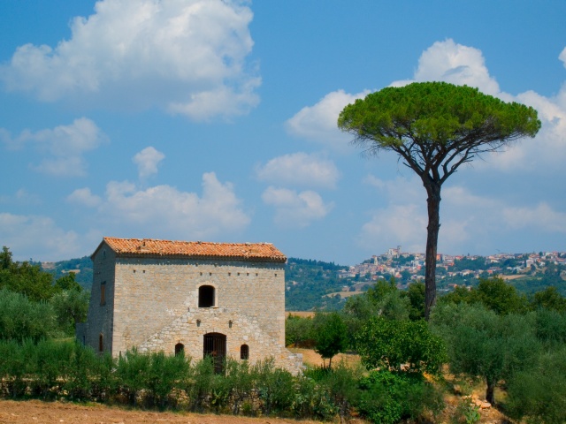 Cappella di Santa Barbara a San Marco dei Cavoti