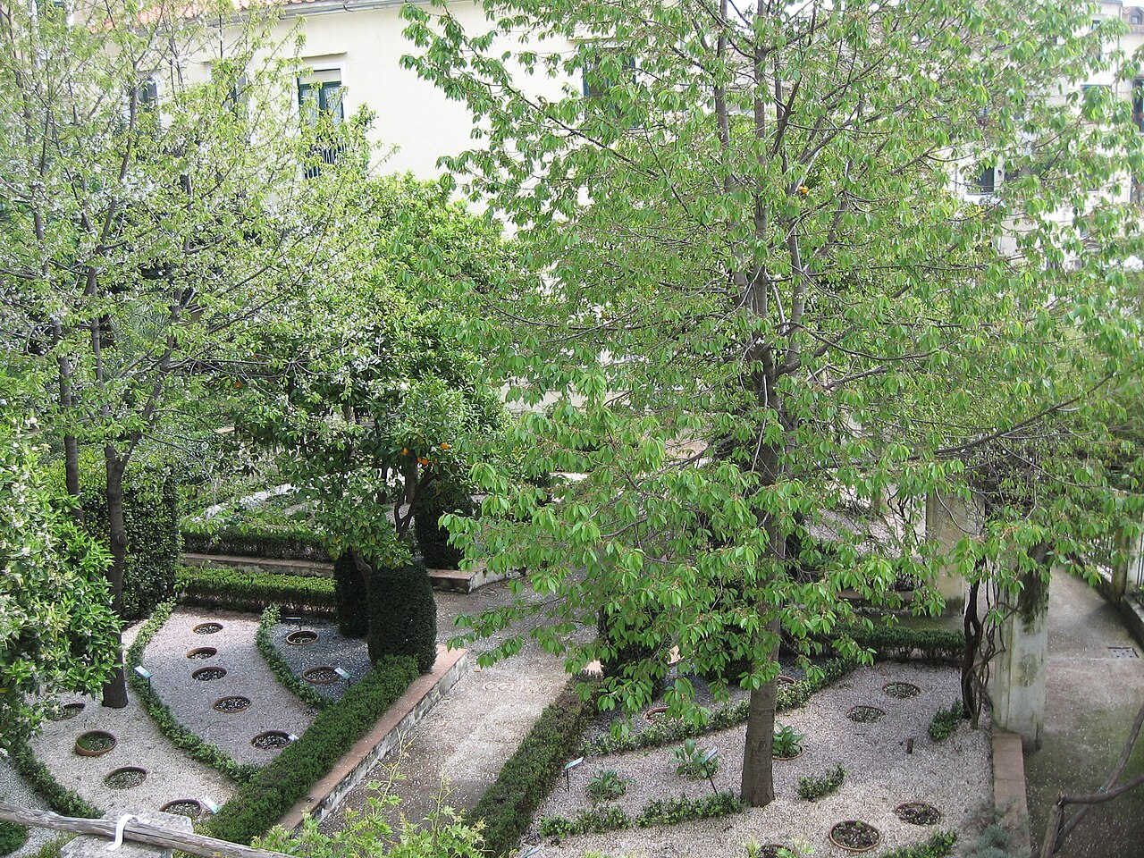 Giardino della Minerva