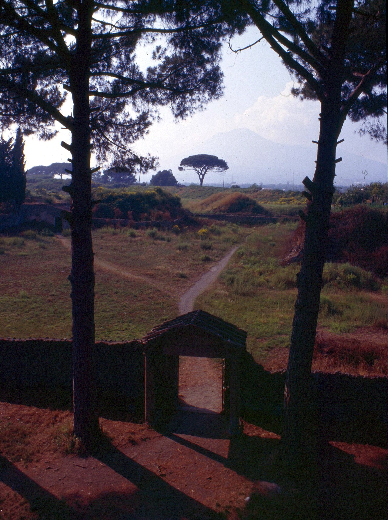 Giardino (II.5.5)