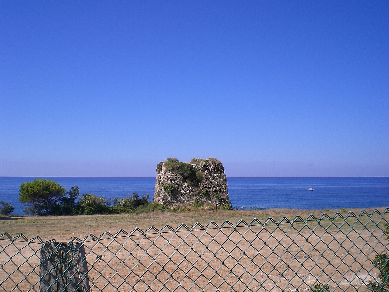 La punta