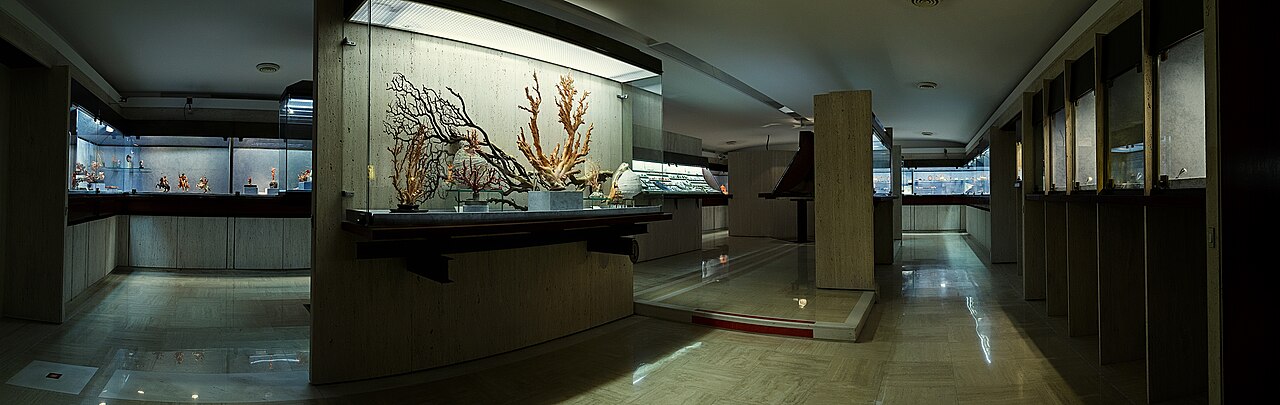 Museo del Corallo – Collezione privata Liverino