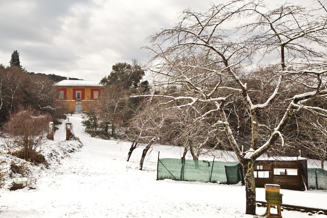 Oasi Bosco di San Silvestro