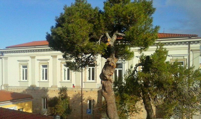 Palazzo Bevere