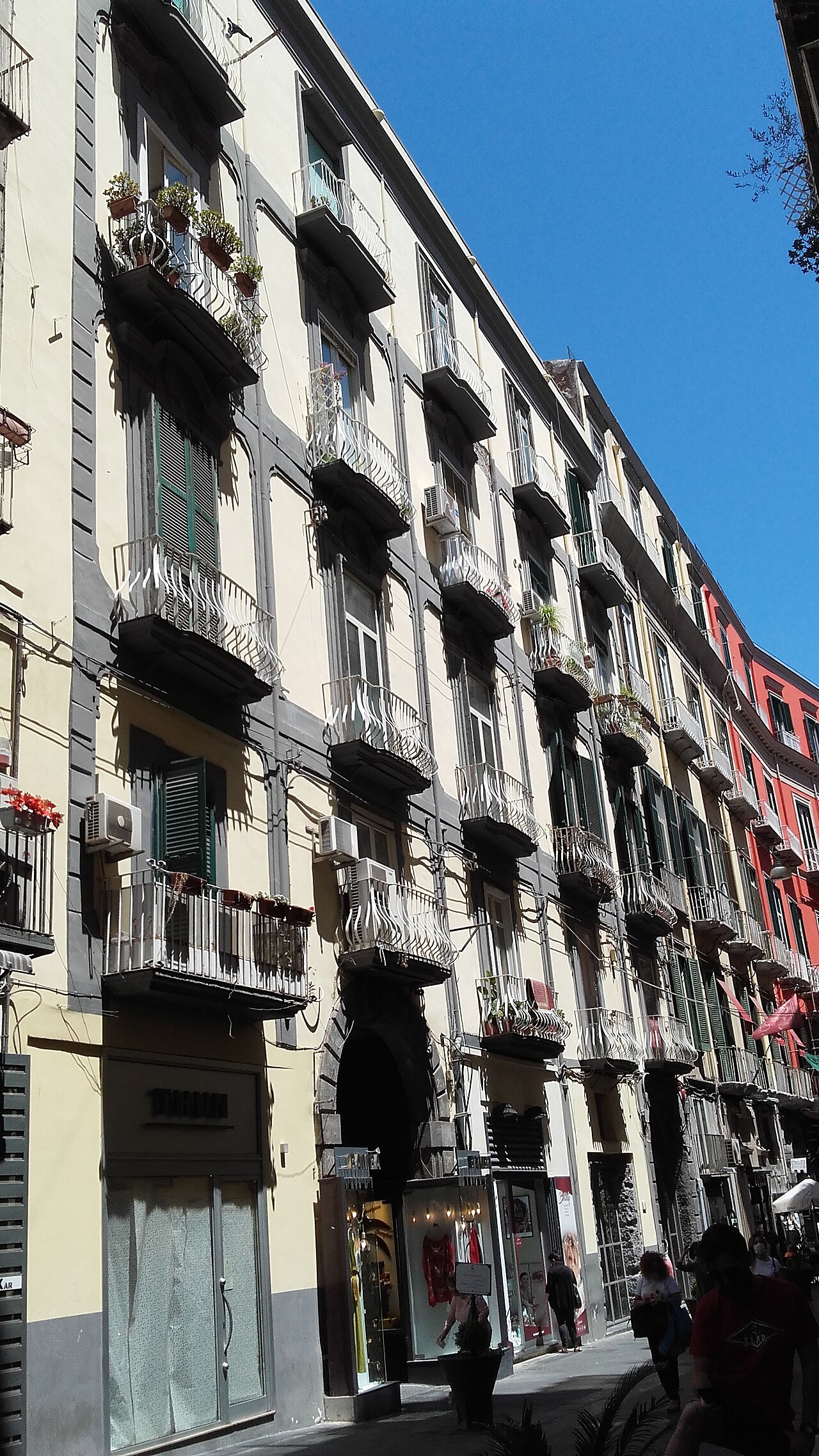 Palazzo Cardon