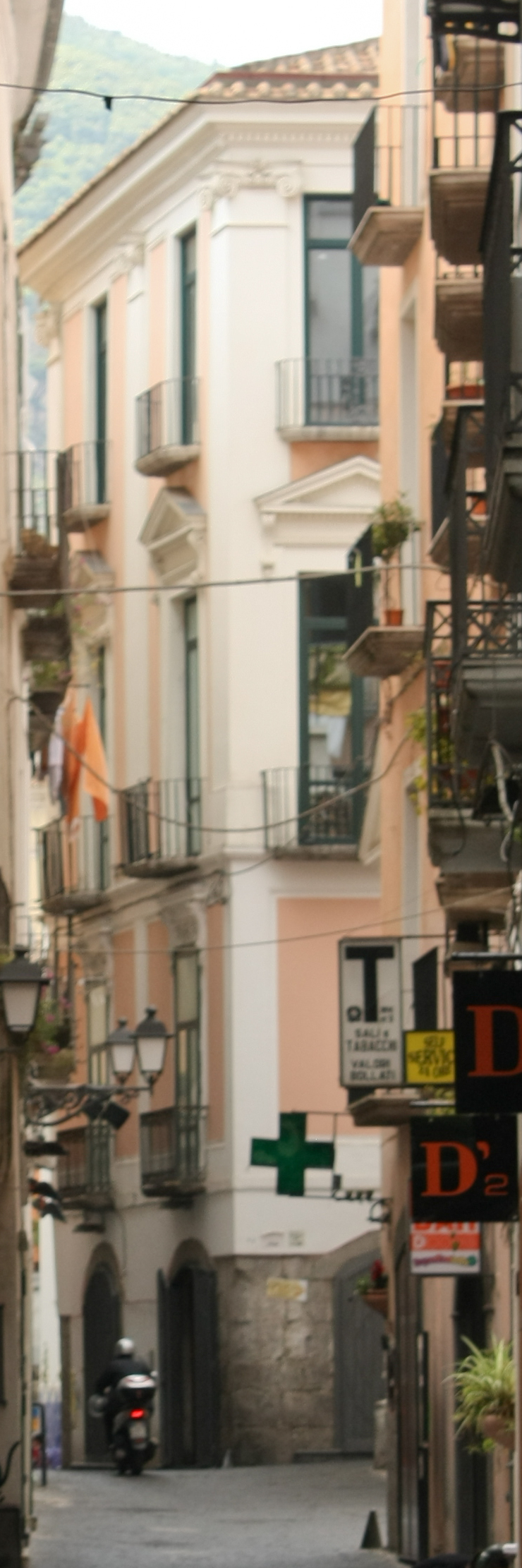 Palazzo Carrara
