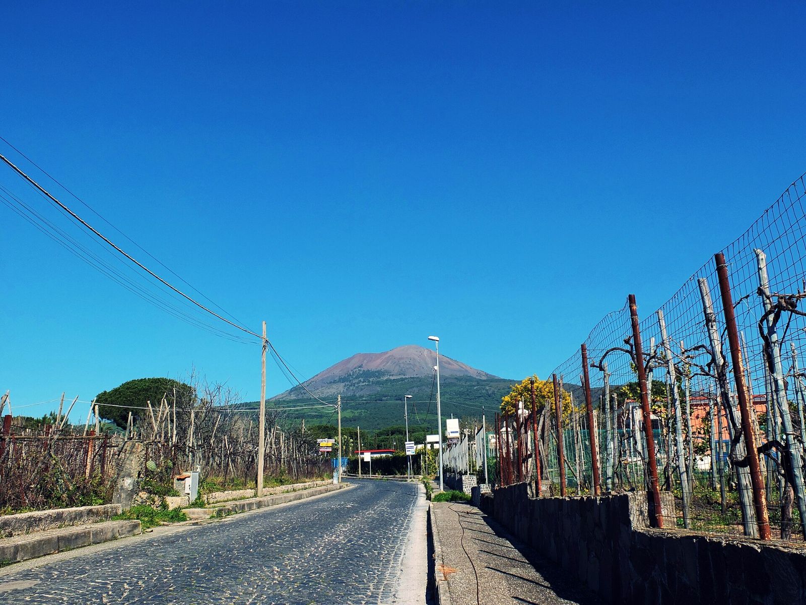 Sorrentino Wine Experience