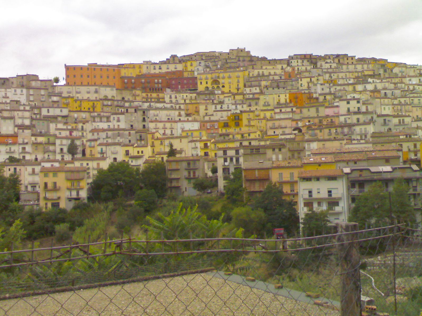 Pro Loco Calitri