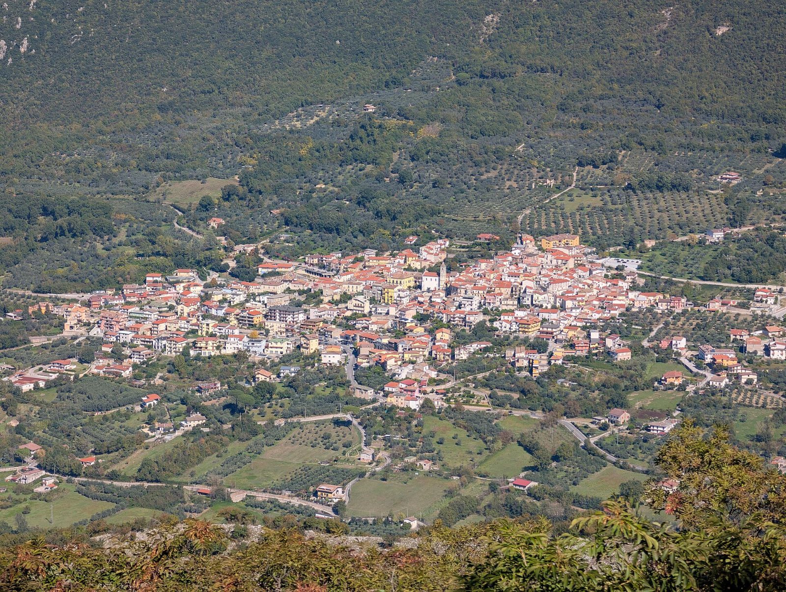 Pro Loco Capriatese