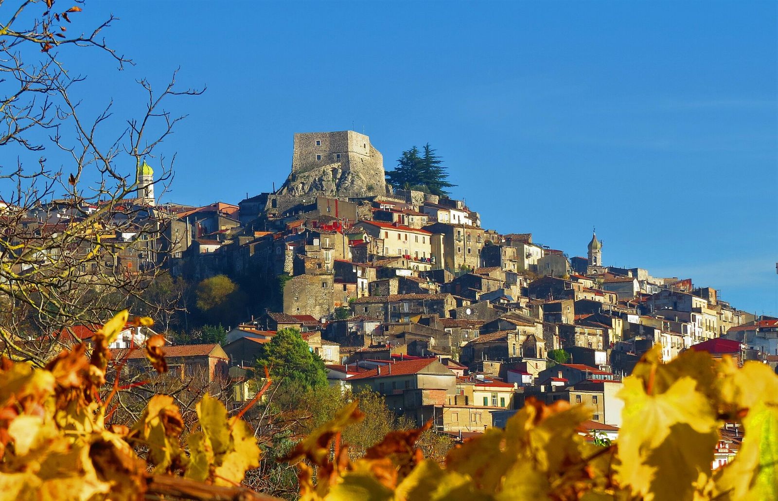 Vigne di Malies