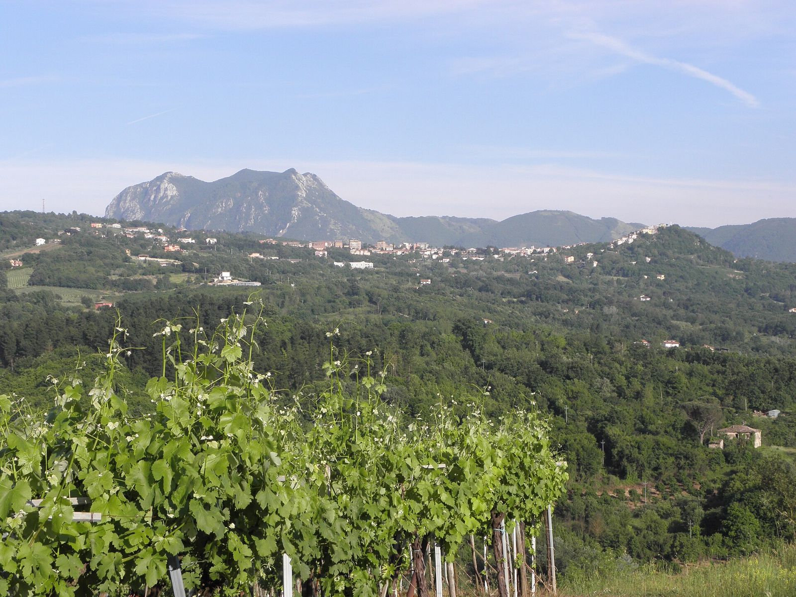Pro Loco Montefalcione - Emilio Ruggiero