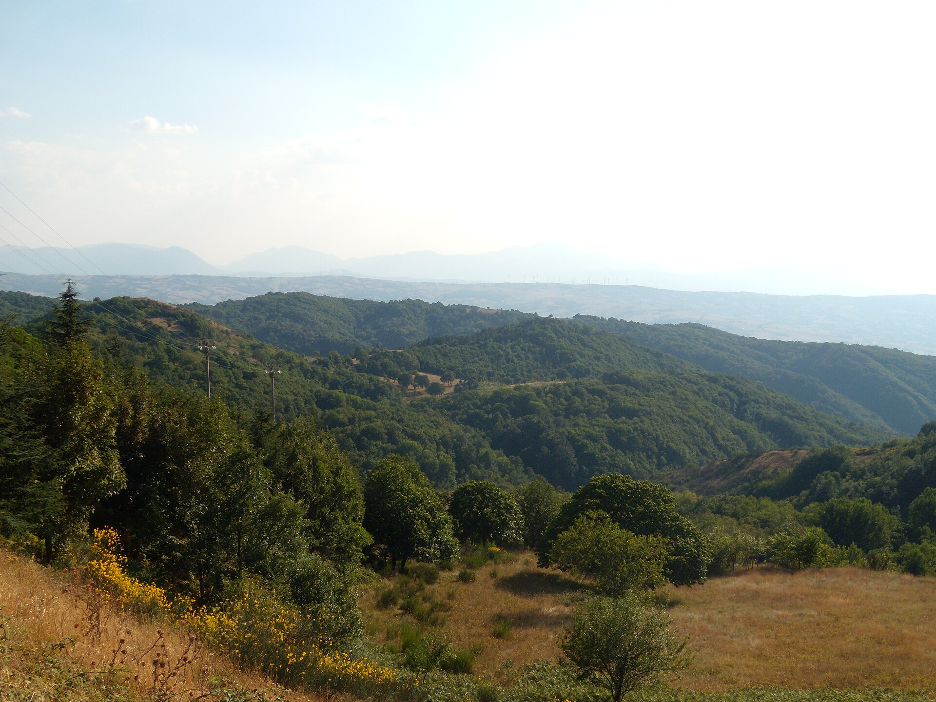 Provincia di Avellino