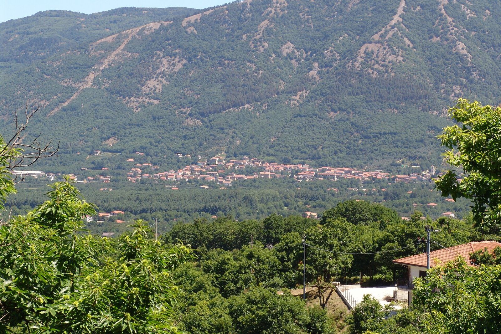 Pro Loco Universitas Sanctae Luciae Serini