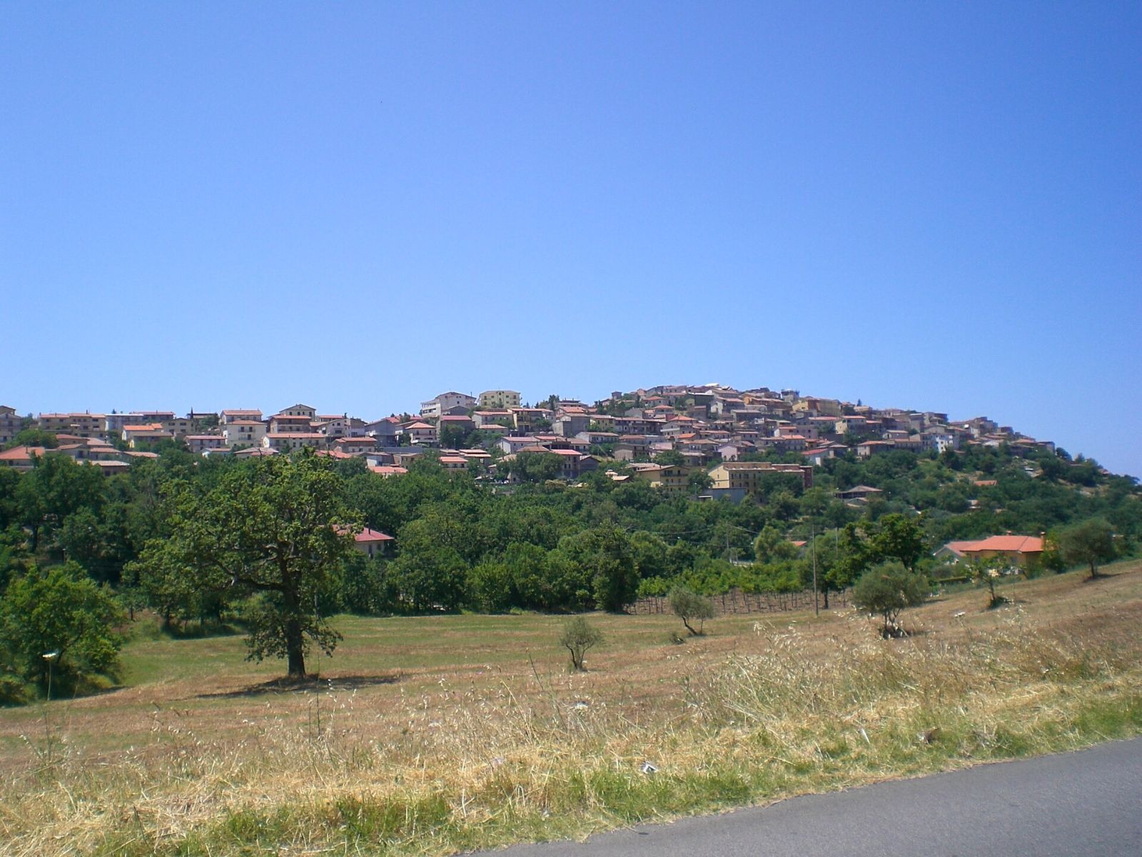 Pro Loco Trentinara